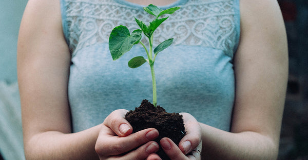 Earth Day: Planting trees with Ecologi